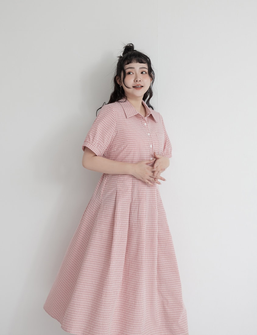 Collared Button-Up Gingham Plus Size Maxi Dress